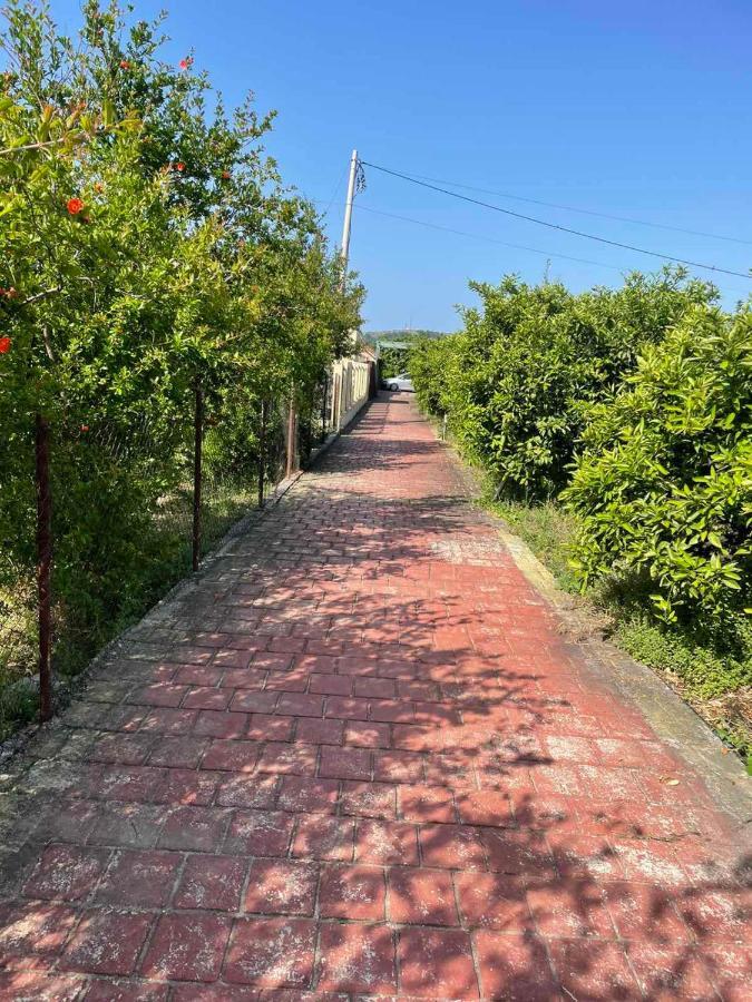 Villa Nilic Bar Dış mekan fotoğraf